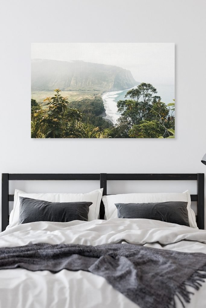 Indoor decor ideas inspired by nature and the great outdoors Canvas Printing | CanvasJet.com